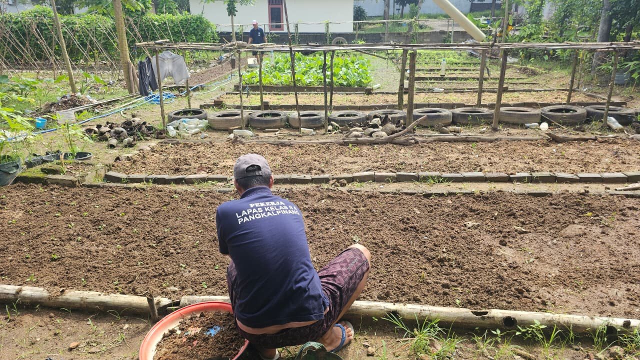 Pembinaan Produktif, Lapas Pangkalpinang Kembangkan Kemandirian Pangan